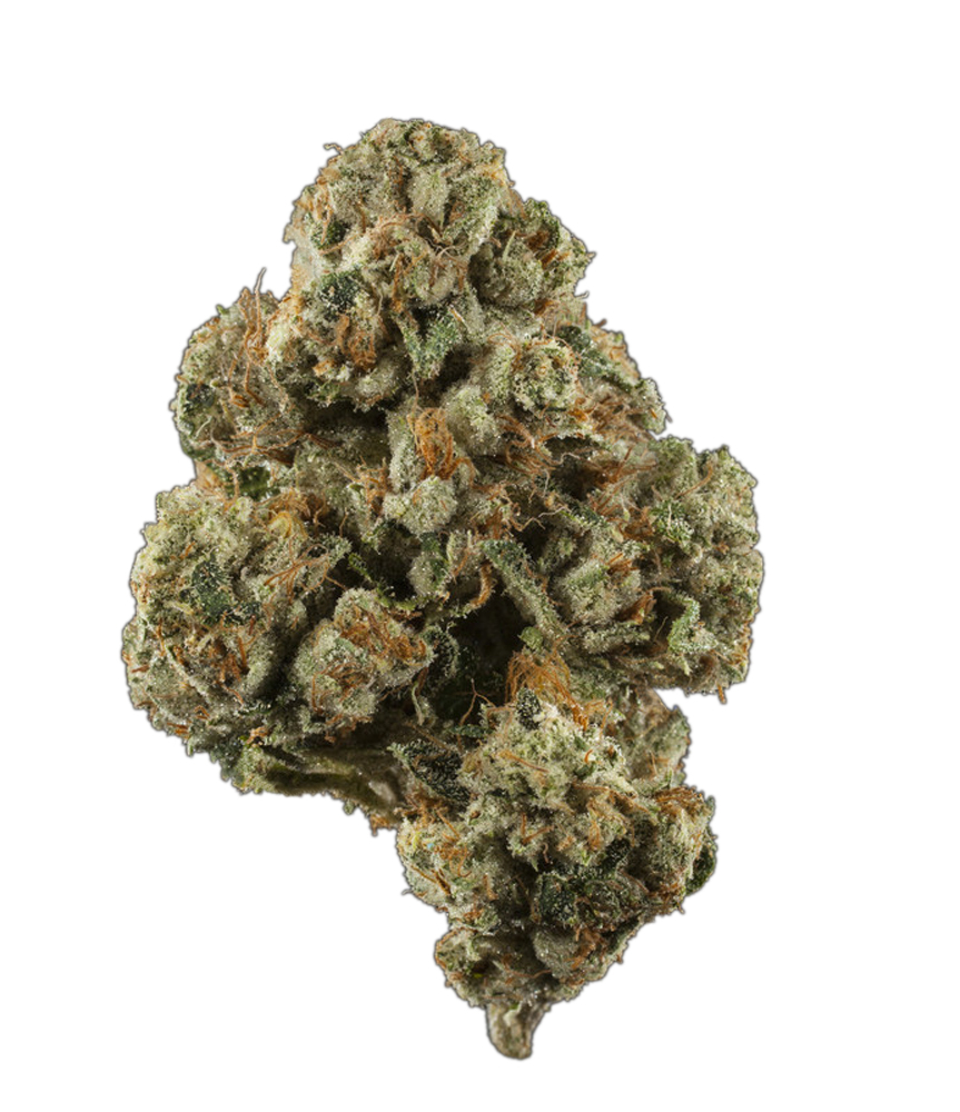 Motor Breath